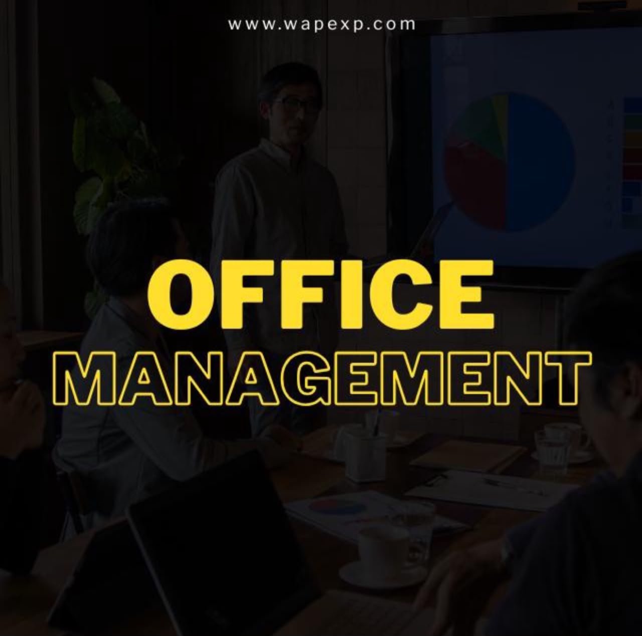 MS Office